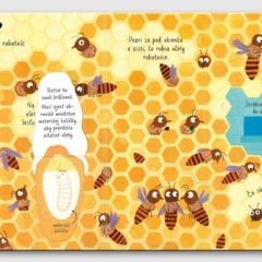 Prečo potrebujeme včely? - Prvé otázky a odpovede