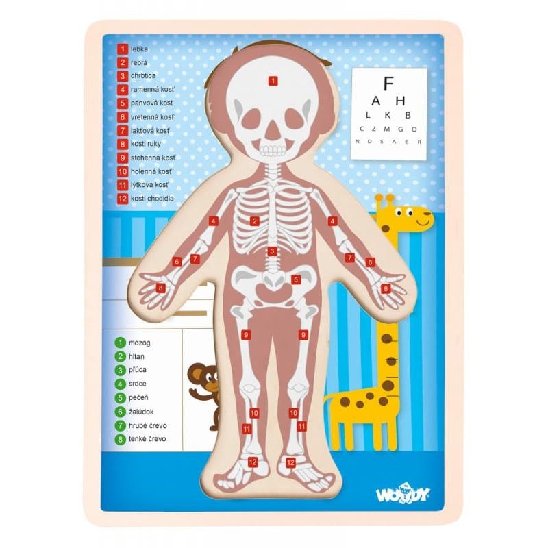 Puzzle Ľudské telo Chlapec Woody - Oma & Luj