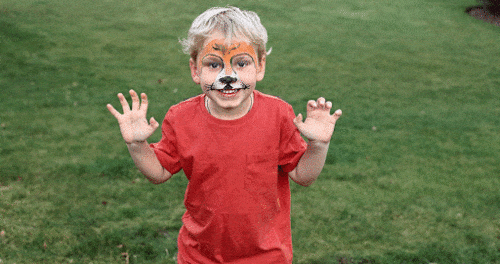 Som tiger - Farby na tvár - Produtky na deň detí - Oma & Luj